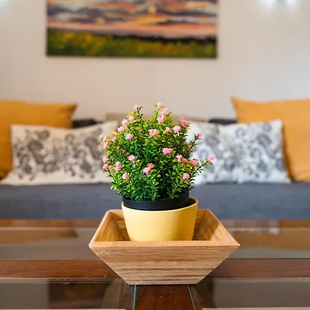 Apartamento Vilos Las Canteras *